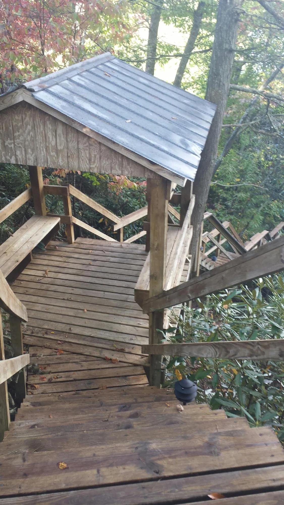 Metal roofed shelter over wooden steps on a wooded walkway — Skylight Repair & Installation work by our crew in Steilacoom