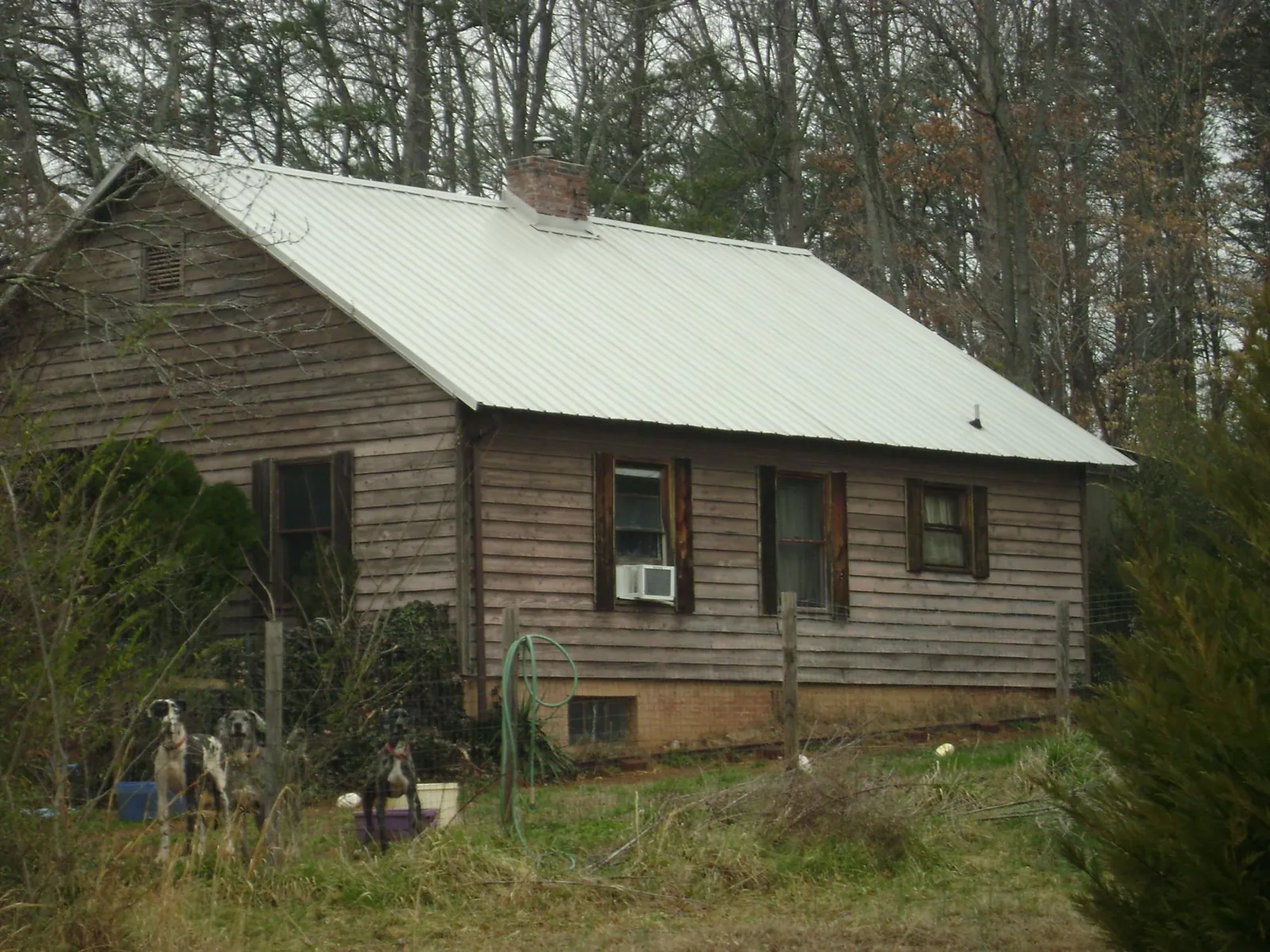 White metal roof on an old wood sided farmhouse, from a Metal Roof Installation job in Steilacoom